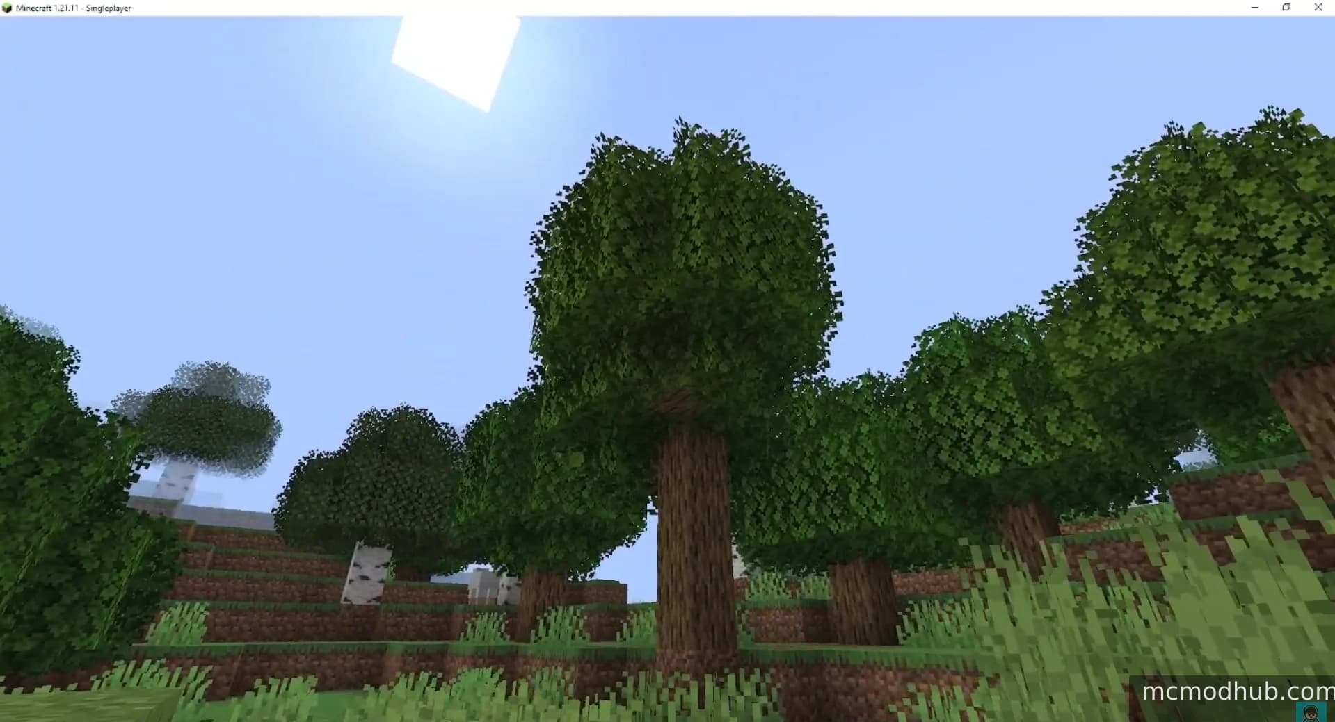 Motschen's Better Leaves